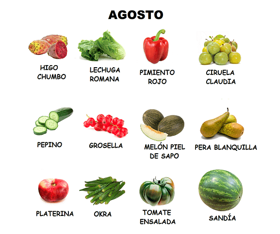 Frutas-y-verduras-agosto