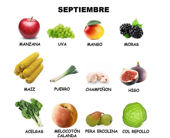 Frutas-y-verduras-septiembre