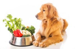 frutas-y-verduras-pueden-comer-perros